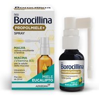 Alfasigma NeoBorocillina Propolmiele+ Spray Gola Gusto Miele Eucalipto, 20ml