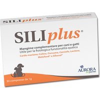 Aurora Biofarma Siliplus 30 Compresse