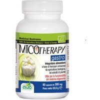 A.v.d. Reform Micotherapy Gastro 90 Capsule Flacone 53,50 G
