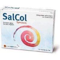 Avicenna Natural Institute Salcol 12 Bustine