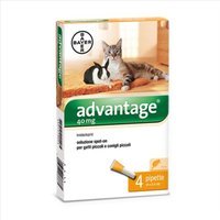 Bayer Advantage 40mg Spot-On Gatti Piccoli Conigli Piccoli 4 Pipette Da 0,4 ml
