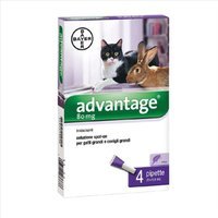 Bayer Advantage 80 mg Spot-On Per Gatti Grandi Conigli Grandi 4 Pipette Da 0,8ml