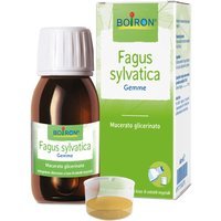 Boiron Fagus Sylvatica Gemme Macerato Glicerico, 60ml