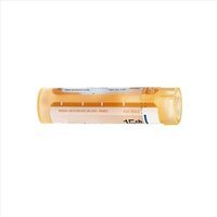 Boiron Hypericum Perfor 15CH Granuli Medicinale Omeopatico