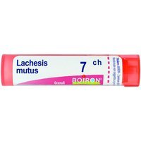 Boiron Lachesis Mutus 7ch Gr