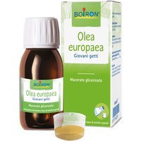 Boiron Olea Europaea Giovani Getti Macerato Glicerico Integratore, 60ml