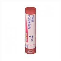 Boiron Thuya Occident 7ch Gr