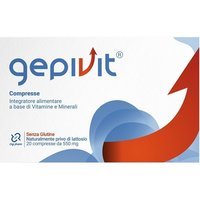 Digi-pharm Sas Di Carlevaris G Gepivit 20 Compresse