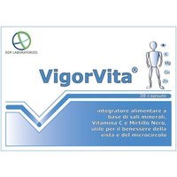 Edp Laboratories Vigorvita 30 Capsule