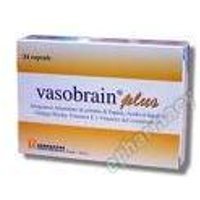 Errekappa Euroterapici Vasobrain Plus 24 Capsule