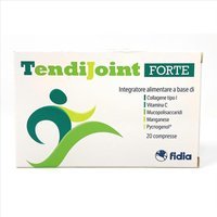 Fidia Farmaceutici Tendijoint Forte Integratore Alimentare, 20 Compresse