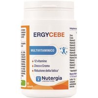 Laboratoire Nutergia Ergycebe 90 Capsule