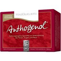 La Strega Opc Masquelier Anthogenol 90 Capsule