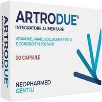 Mdm Artrodue 30 Capsule 0,2 G