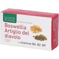Natura Service Boswellia Artiglio Diavolo Vitamine B2 B6 B9 60 Capsule