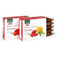 Natura Service Rosa Canina Energie Biologico 10 Ampolle Bevibili Da 10 Ml