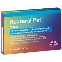 NBF Lanes Reuteral Pet Mangime Complementare per Cani, 30 capsule