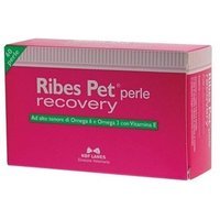 N.b.f. Lanes Ribes Pet Recovery 60 Perle
