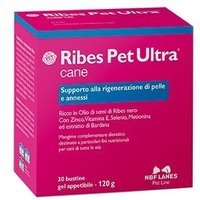 N.b.f. Lanes Ribes Pet Ultra Cane Gel 30 Bustine 4 G