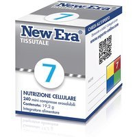 NEW ERA 7 240GR