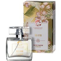 Oficine Cleman Iles d'Or - Eau de Parfum Profumo, 50ml