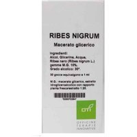 Oti Ribes Nigrum Macerato Glicerico 10% Gocce, 100ml