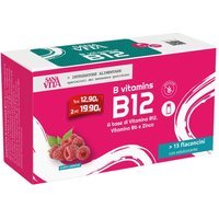 Paladin Pharma Sanavita - B Vitamins B12 Integratore, 15 Flaconcini