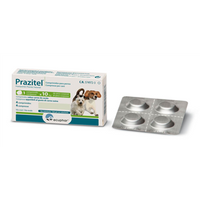 PRAZITEL*4CPR