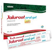 Princeps Jalurost - Princeps gel all'acido ialuronico per le vie urinarie, 15 bustine da 15 ml
