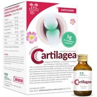 Salugea Cartilagea Integratore per Cartilagini, 18 Flaconcini