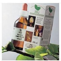 Sangalli Betula Verrucosa Macerato Glicerico 100 Ml