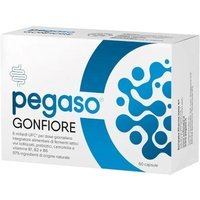 Schwabe Pharma Pegaso Gonfiore Integratore Alimentare, 60 Capsule