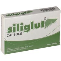 Shedir Pharma Siliglut Integratore Alimentare, 20 Compresse