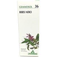 Specchiasol Gemmosol 36 Ribes Nero Integratore Alimentare 100 ml