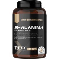 T-Rex Beta-Alanina Integratore Post Workout con Vitamine B1-B6 Precursore Carnosina, 120 Compresse