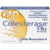 Wp Corporate Colesterase Plus 30 Capsule