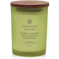 Yankee Candle Awaken & Invigorate - Candela Citronella e Eucalipto Media, 250g