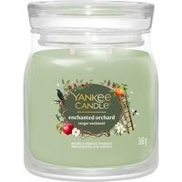 Yankee Candle Signature Jar Media Candela Enchanted Orchard Fragranza Mele Caramellate Zucchero di Canna e Albicocche, 368g
