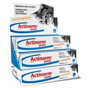 Actinorm pasta gatti 65g