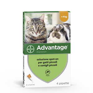 Advantage 4 pip.0,4ml spot-on
