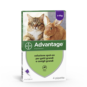 Advantage 4 pip.0,8ml spot-on