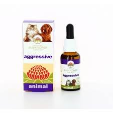 Aggressive 30ml
