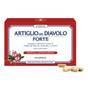 Artiglio Diav.ft 60 Capsule Erm
