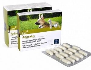 Artosalus 30 Compresse