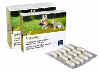 Artosalus 30 Compresse