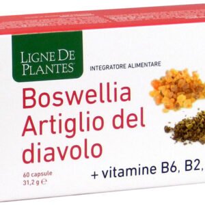 Boswellia artiglio diavolo vitamine b2 b6 b9 60 capsule