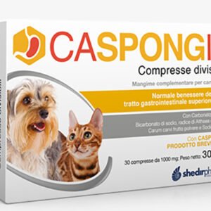 Caspongil 30 compresse divisibili