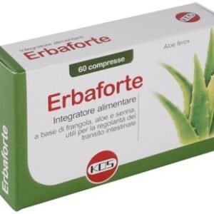 Condress collagene equino10x10
