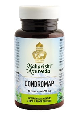 Condromap (ma 209) 60 Compresse 30g