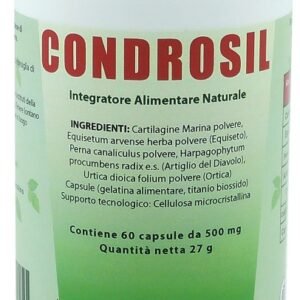 Condrosil 60 capsule